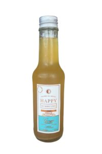 HAPPY KOMBUCHA GINGER SOUR x 160 ml