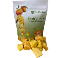 FRUTSALVA MANGO LIOFILIZADO 20g
